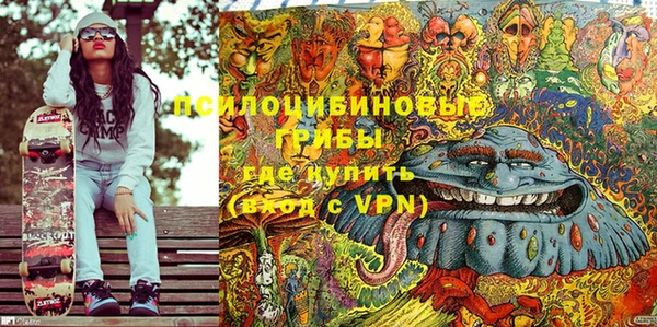 стаф Алексин