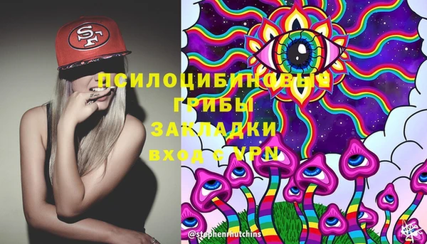 стаф Алексин