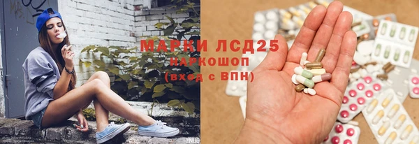 стаф Алексин
