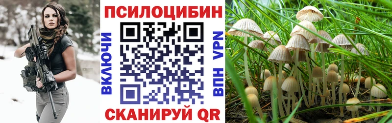 Галлюциногенные грибы Psilocybine cubensis  Усть-Лабинск 